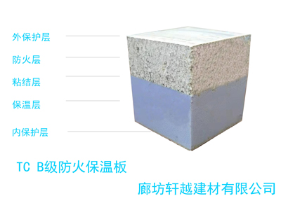 TC B�������°�