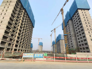 ʯ����--�İ��ǻ��³���Ŀ